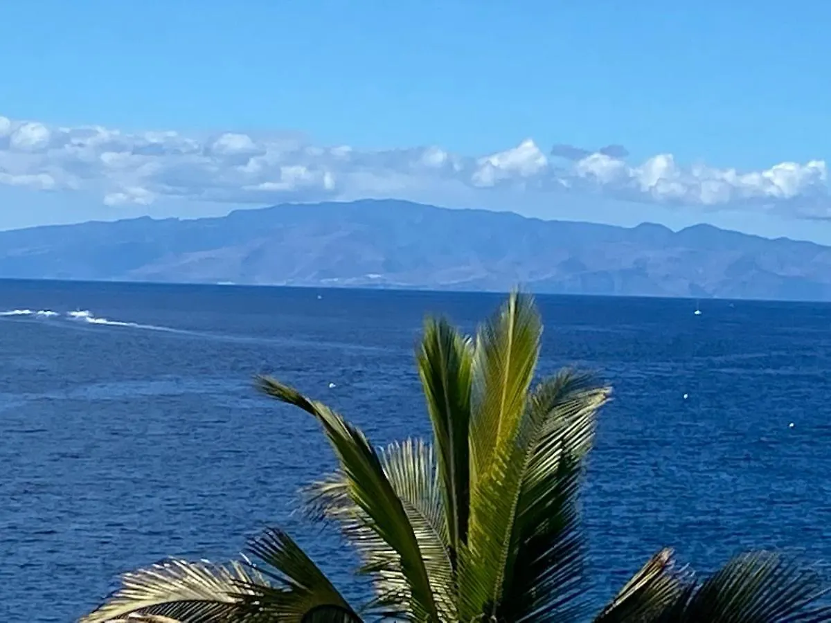 Las Flores Studio 1 Playa de las Americas  Spain