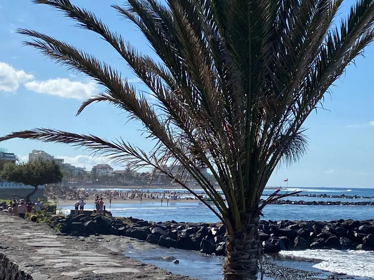 Las Flores Studio 1 Playa de las Americas  0*, Playa de las Americas (Tenerife) Spain